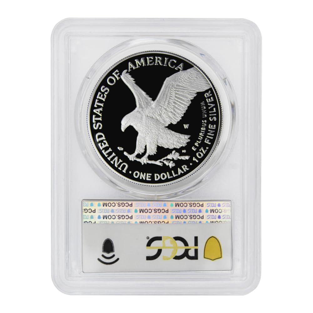 1 oz American Silver Eagle Coin R93337