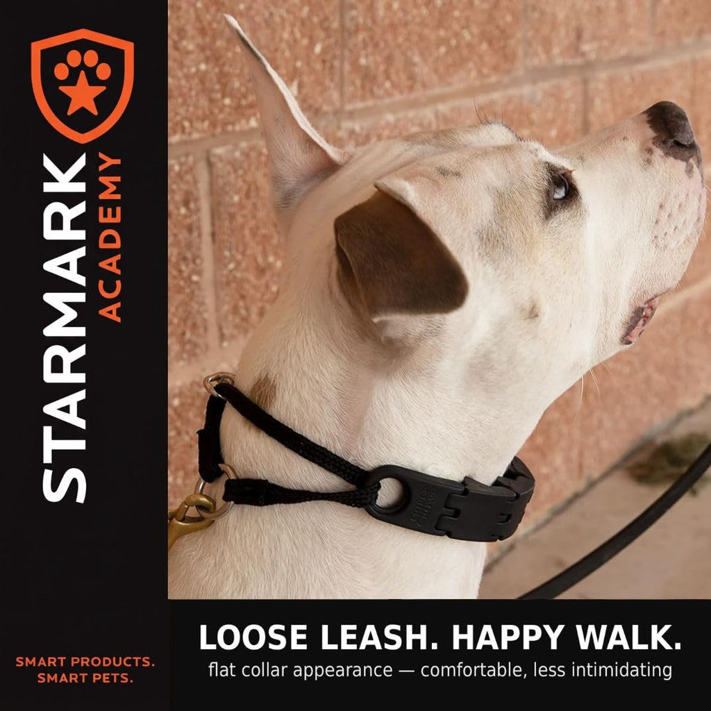 Large No-Pull Dog Collar O43411