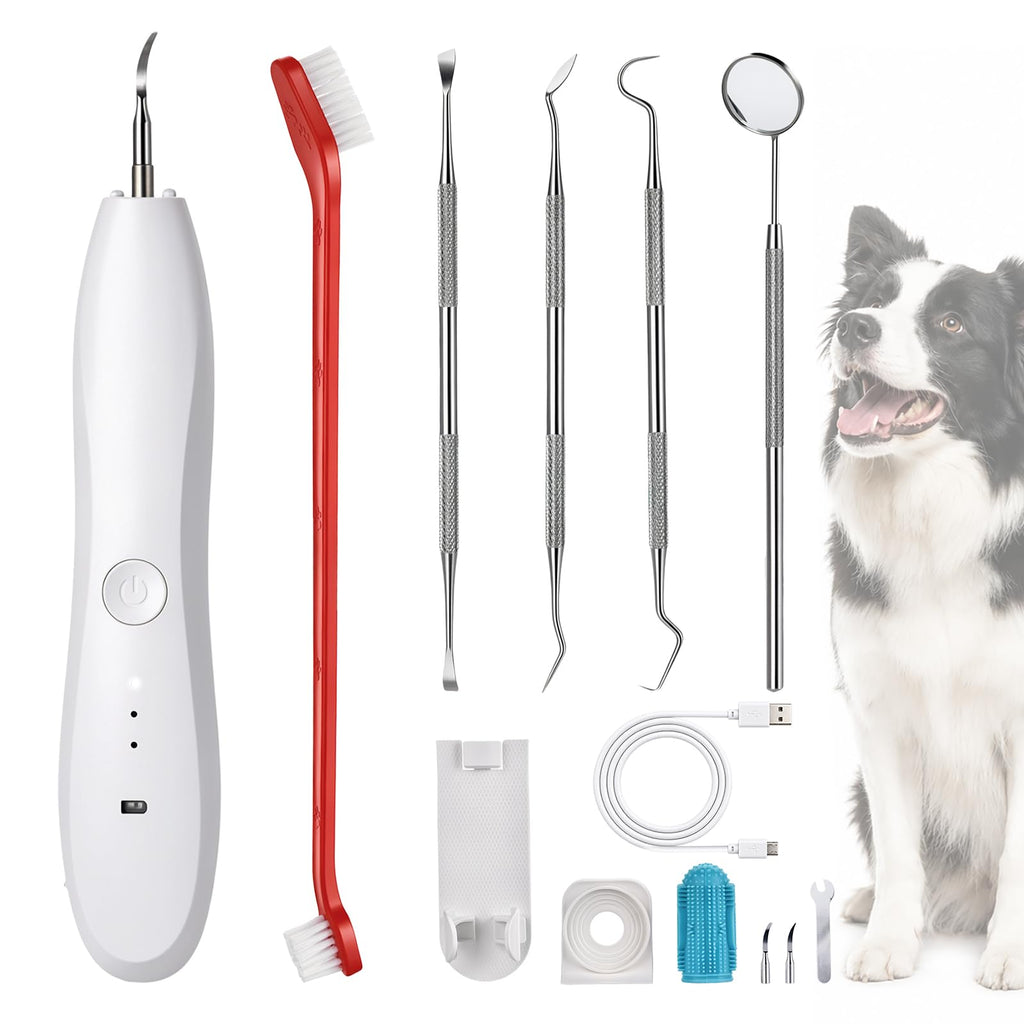 Dog Tartar Ultrasonic Teeth Cleaning Kit K180102