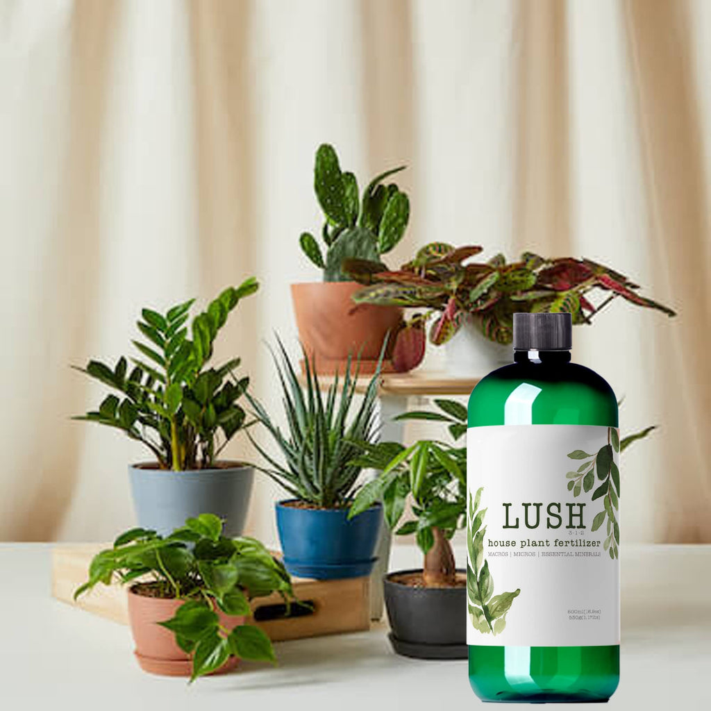 Houseplant Fertilizer Z40320