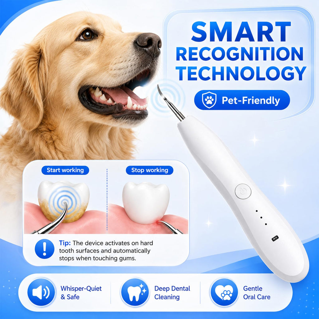 Dog Tartar Ultrasonic Teeth Cleaning Kit K180102