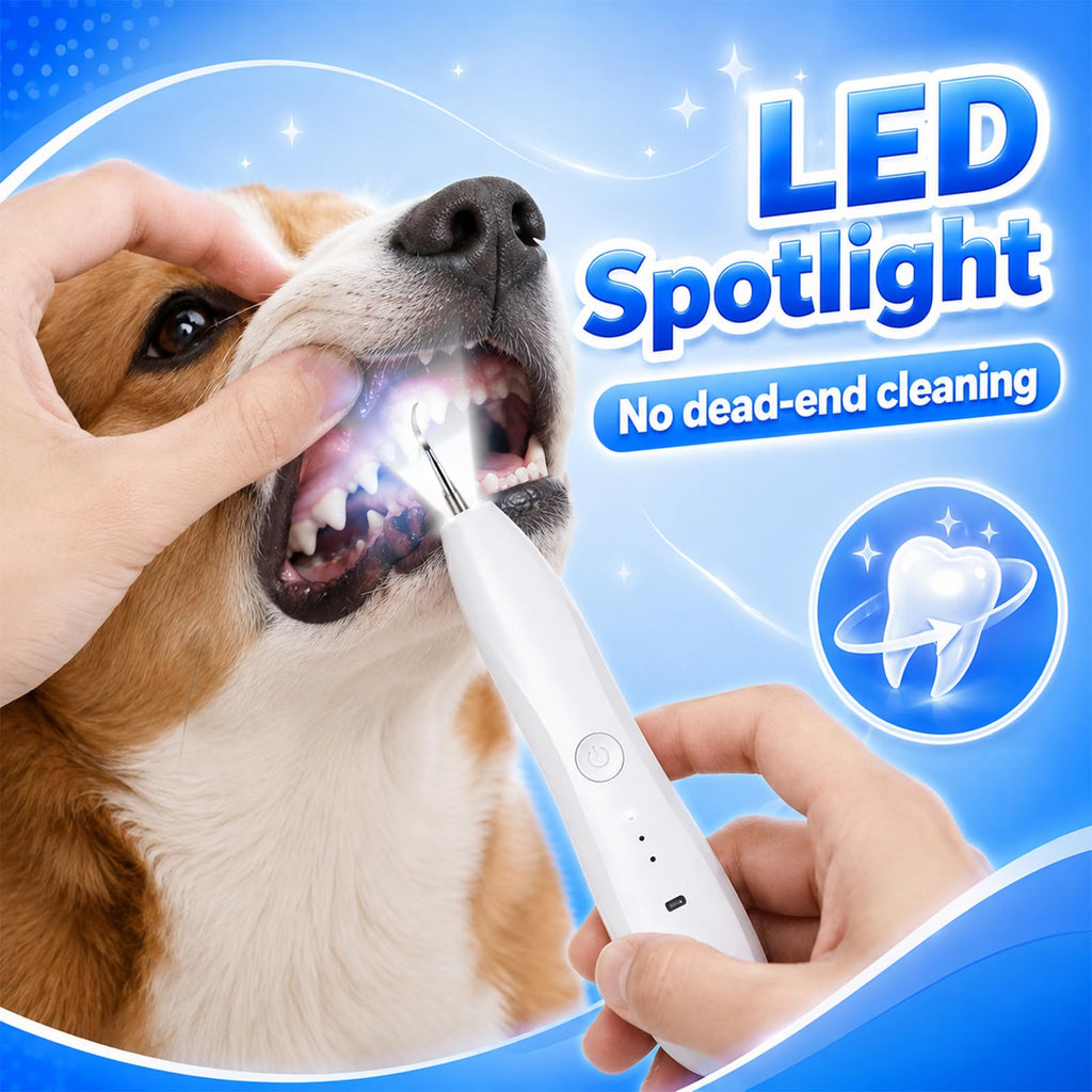 Dog Tartar Ultrasonic Teeth Cleaning Kit K180102