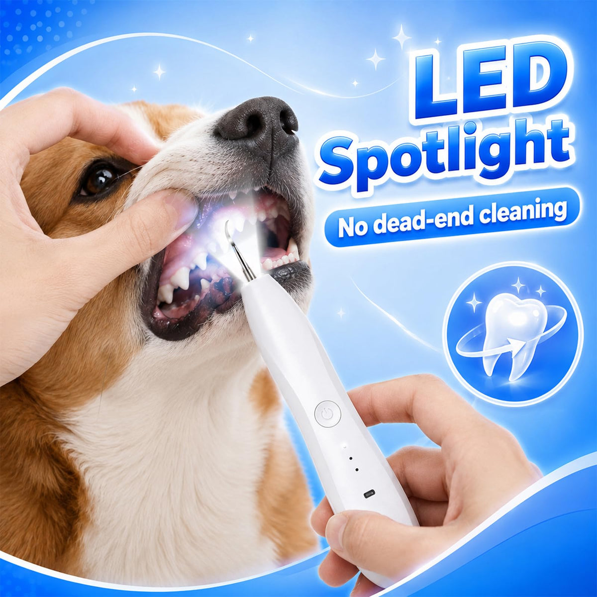 Dog Tartar Ultrasonic Teeth Cleaning Kit K180102