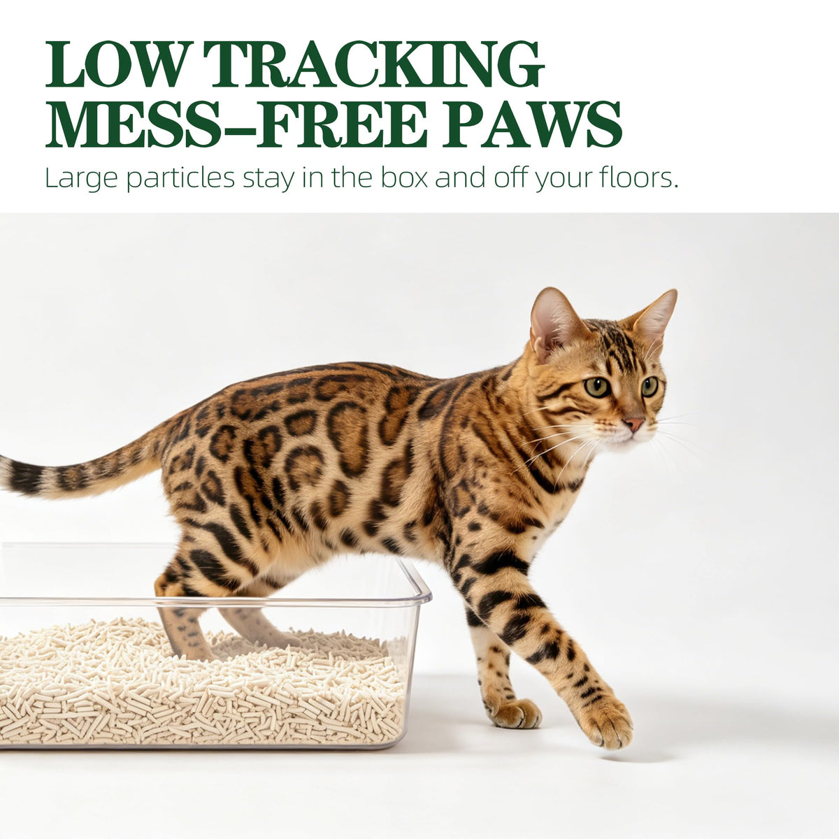 Tofu Cat Litter Clumping Flushable Plant-Based 20.8lbs I66480
