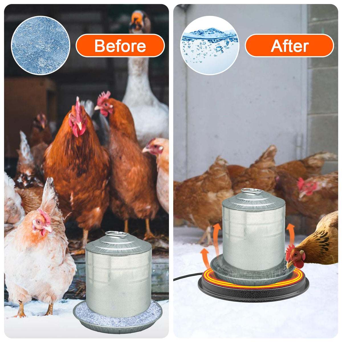 Metal Chicken Water Heater with Thermostat D99698