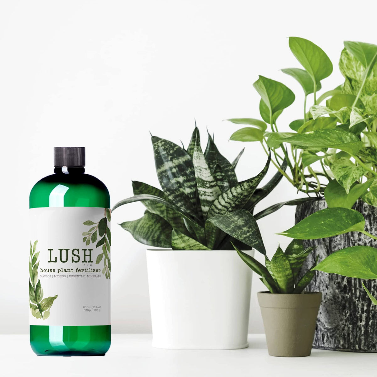Houseplant Fertilizer Z40320