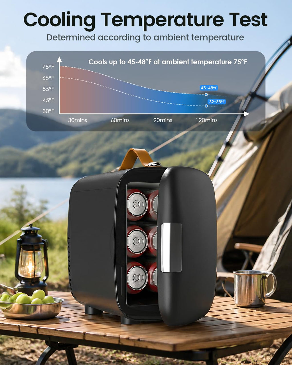 Portable Mini Fridge 4L 6 Can Black C164