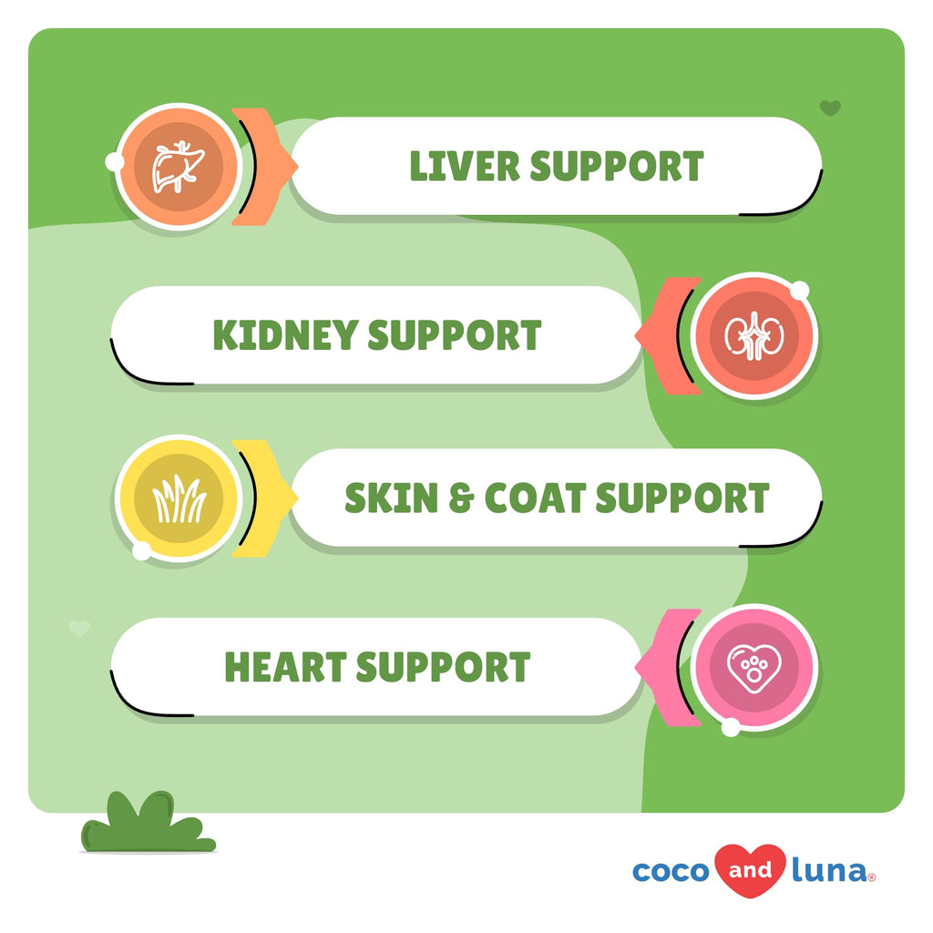 Milk Thistle + Omega 3 for Dogs Bundle with EPA & DHA H224