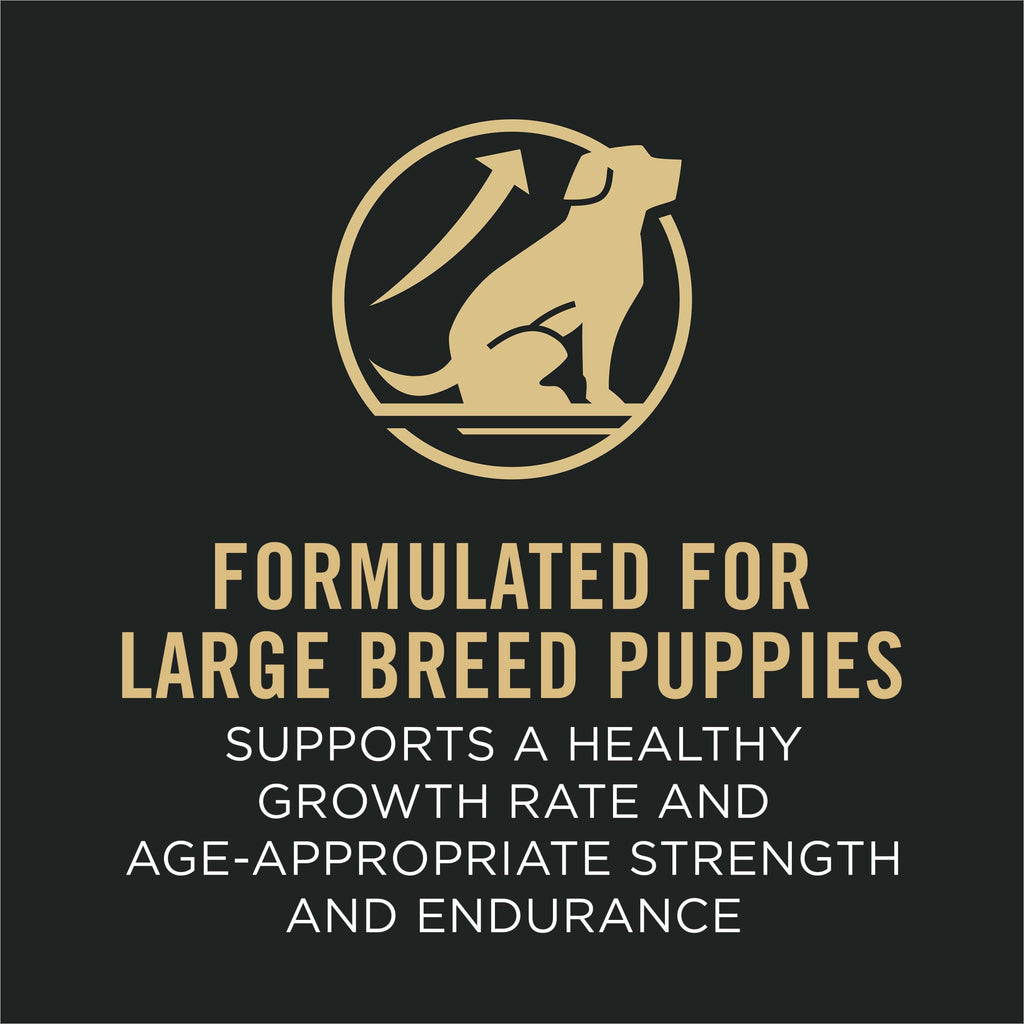 Chicken and Rice High Protein Dog Food 35 lb Q789