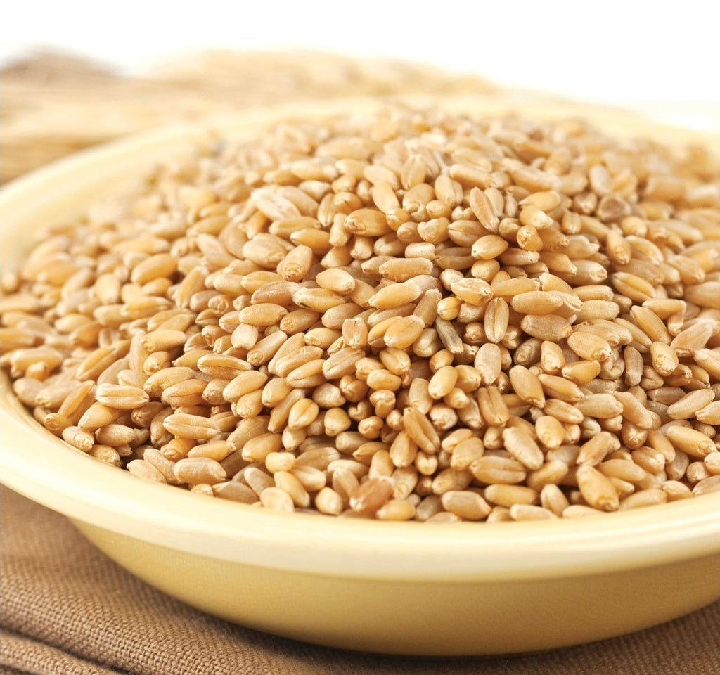 Hard White Wheat Kernels 4 Lb Tub M455378