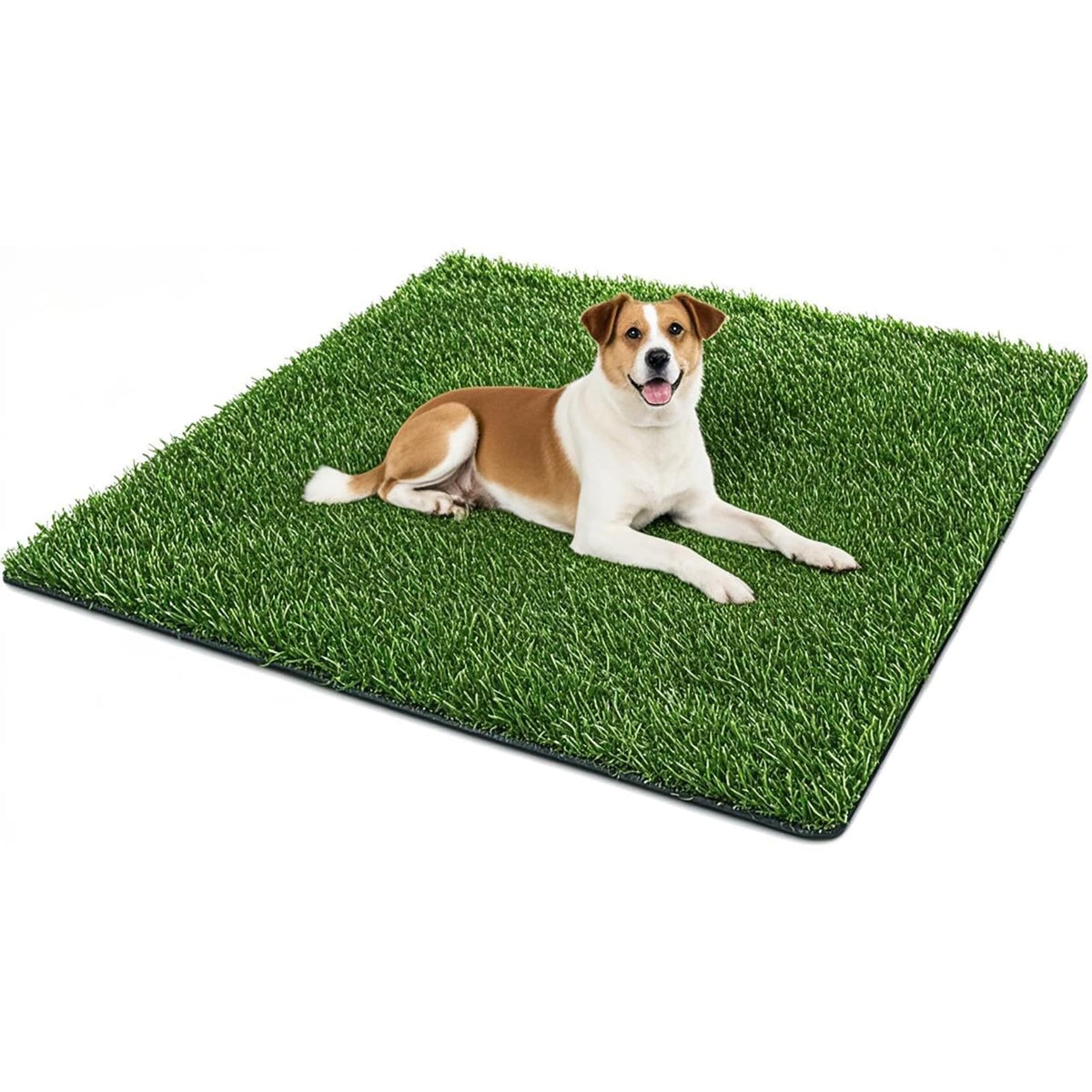 50.1x30.5In Artificial Grass Dog Pee Pad P34619