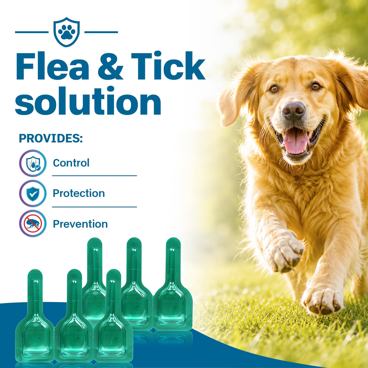 Flea and Tick Prevention for Medium Dogs 23-44 lbs 6 Doses G647