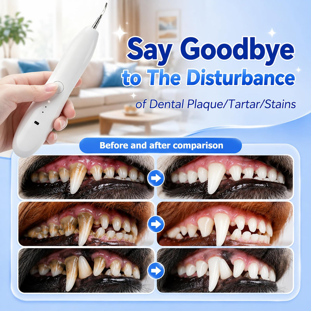 Dog Tartar Ultrasonic Teeth Cleaning Kit K180102