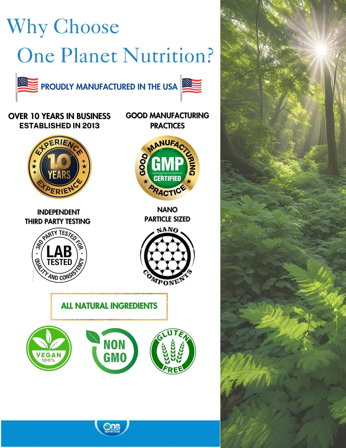 Moringa Capsules 500 mg 120 Count V772582
