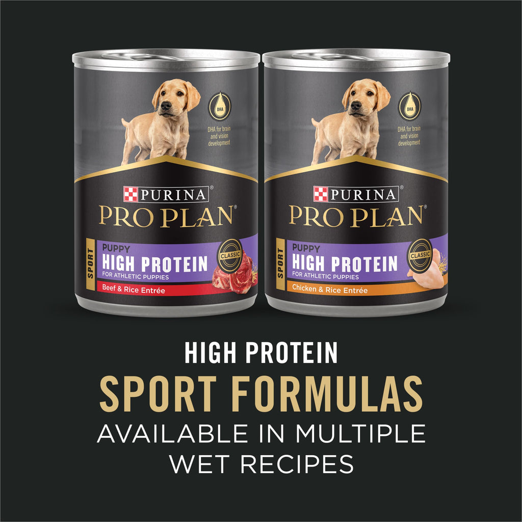 Chicken and Rice High Protein Dog Food 35 lb Q789