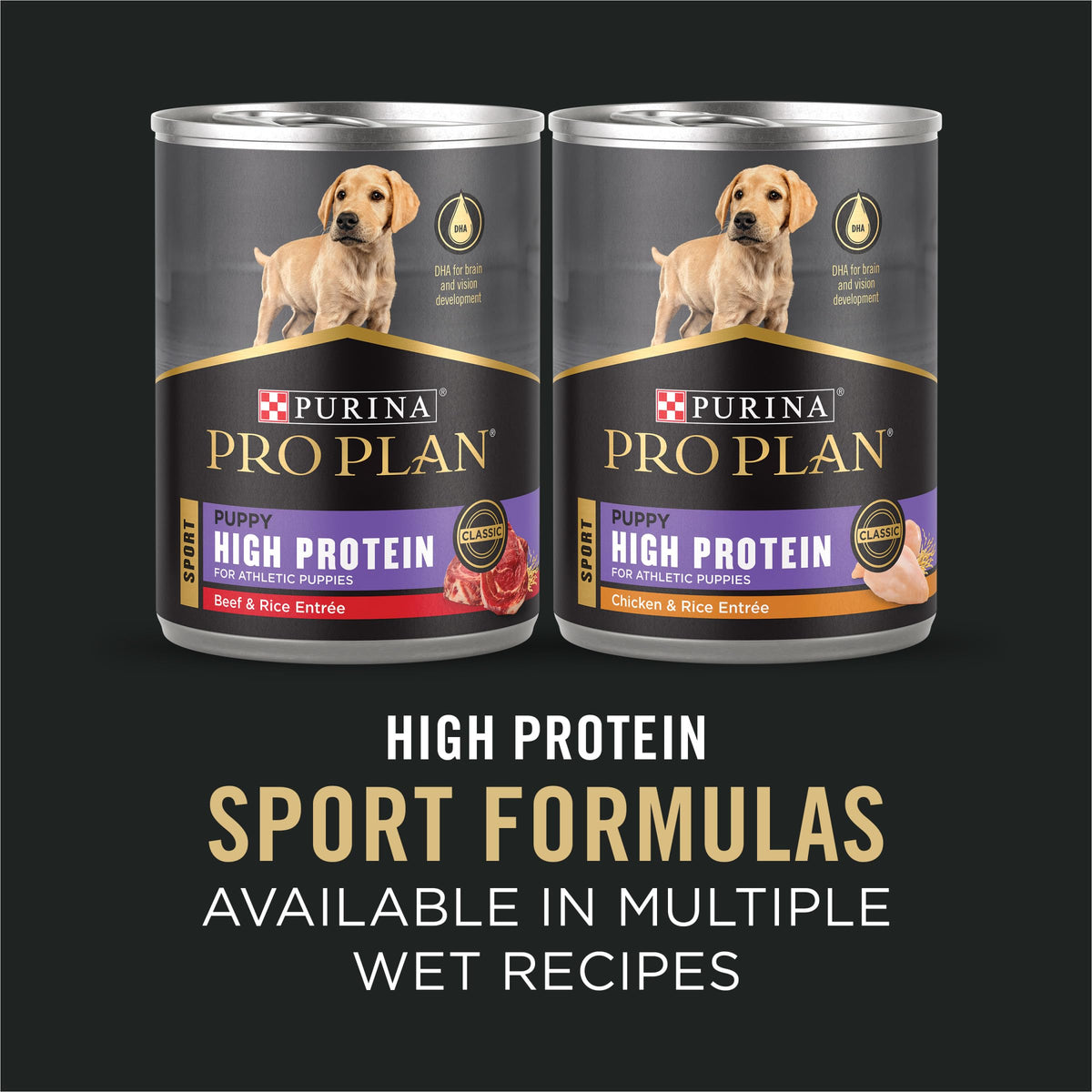 Chicken and Rice High Protein Dog Food 35 lb Q789