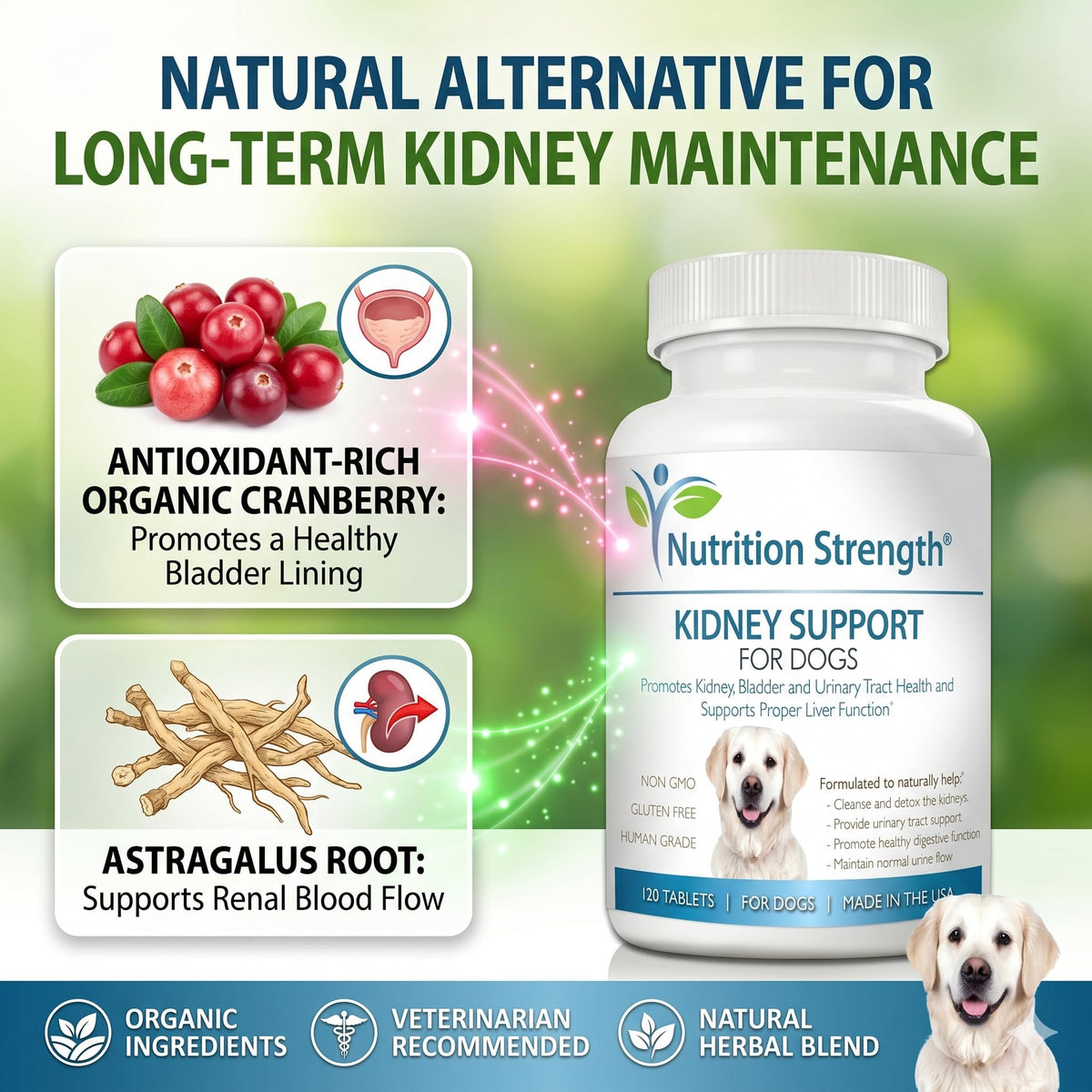 Kidney Support for Dogs Chewable Tablets R146