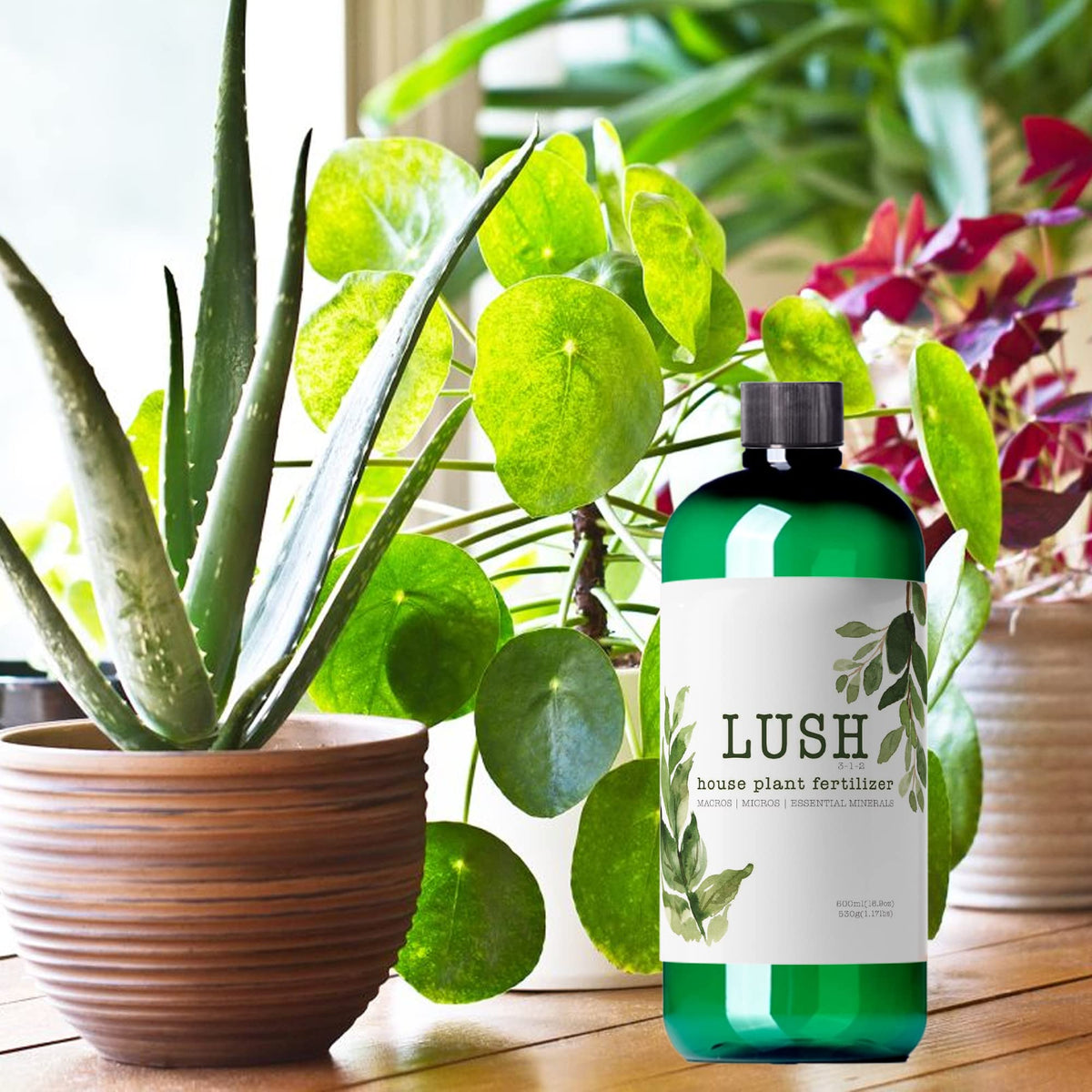 Houseplant Fertilizer Z40320
