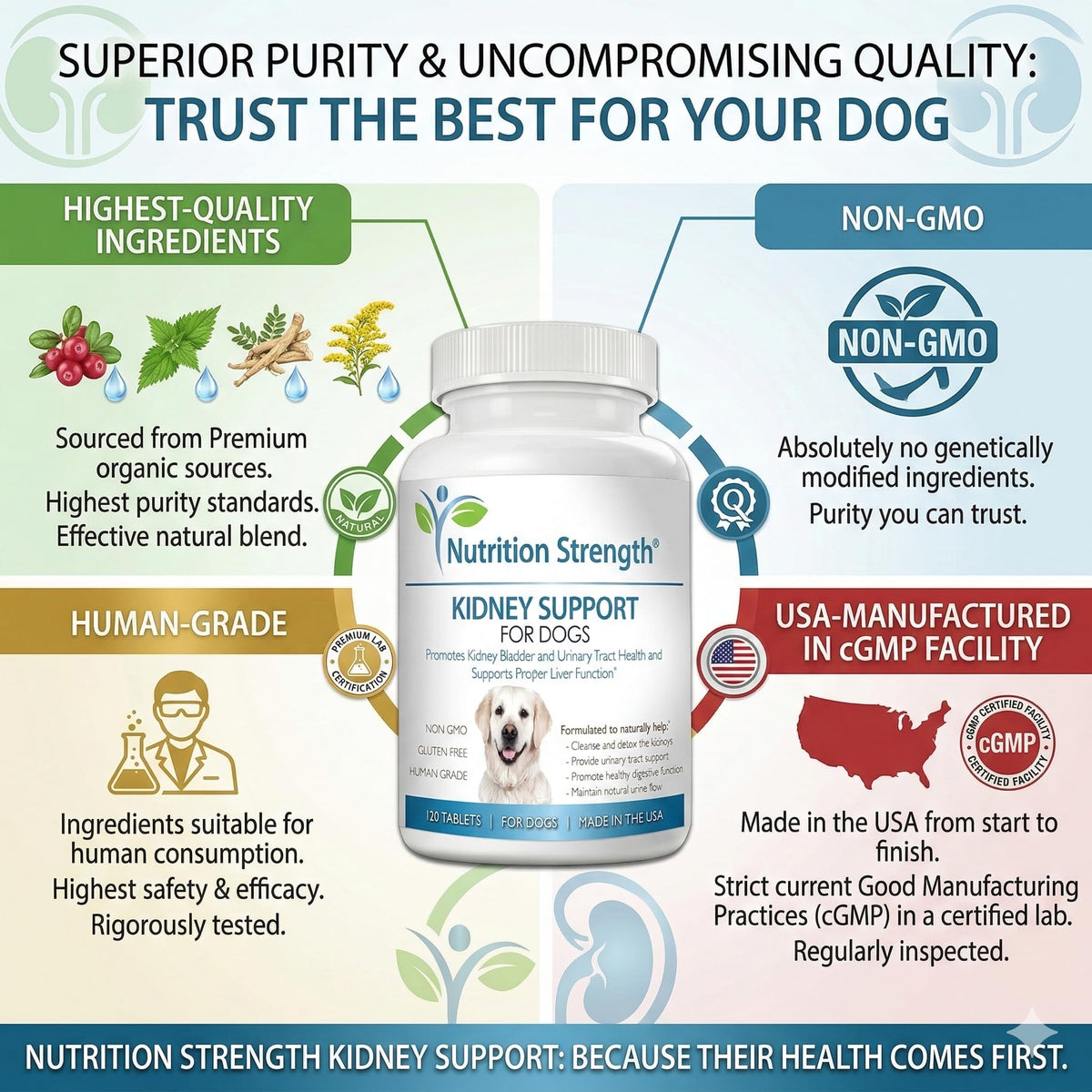 Kidney Support for Dogs Chewable Tablets R146