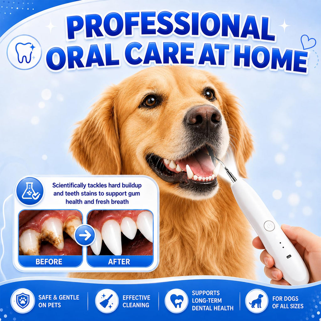 Dog Tartar Ultrasonic Teeth Cleaning Kit K180102