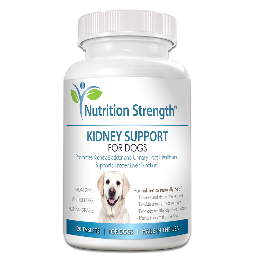 Kidney Support for Dogs Chewable Tablets R146