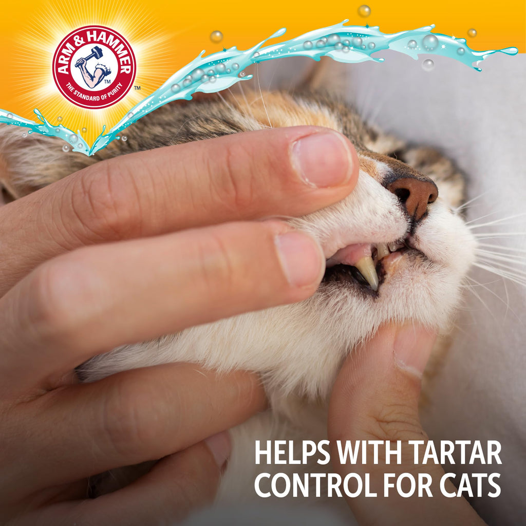 Cat Dental Water Additive 8 Fl Oz 6-Pack E843333