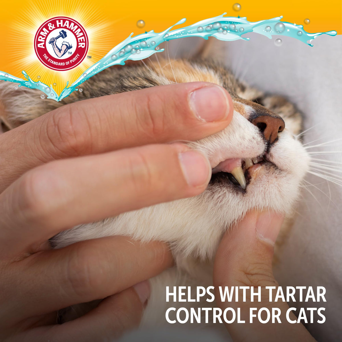 Cat Dental Water Additive 8 Fl Oz 6-Pack E843333