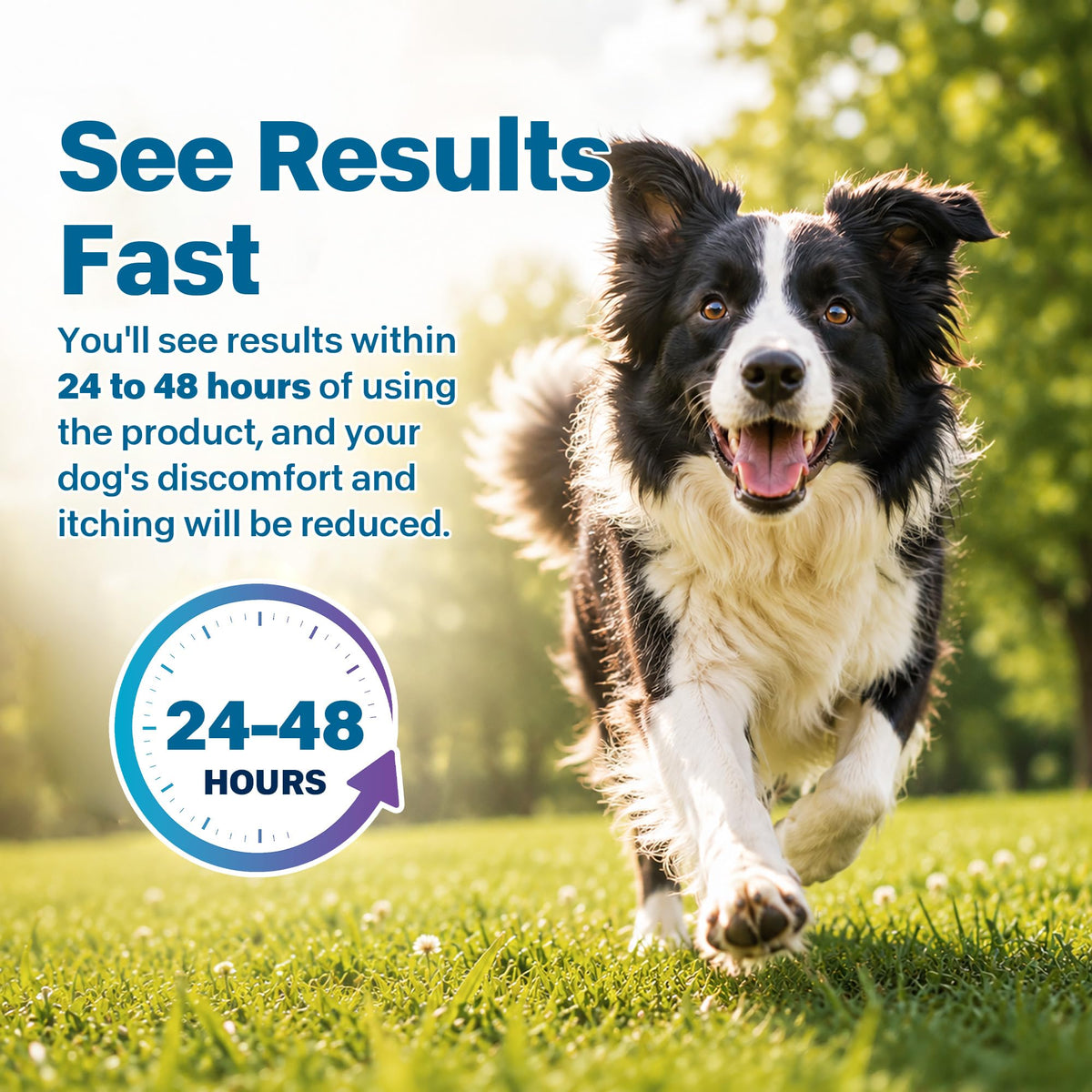 Flea and Tick Prevention for Medium Dogs 23-44 lbs 6 Doses G647