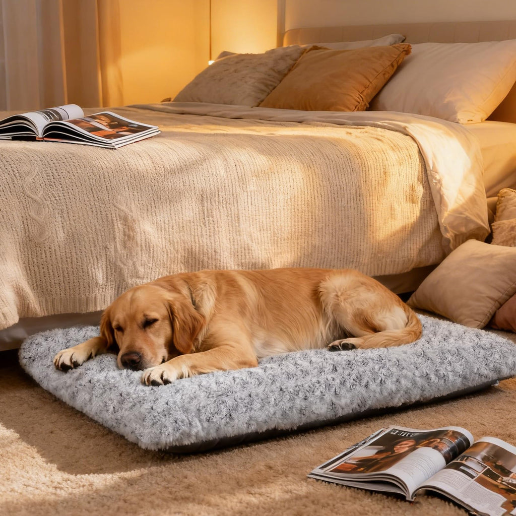 Large Washable Plush Dog Bed H99859