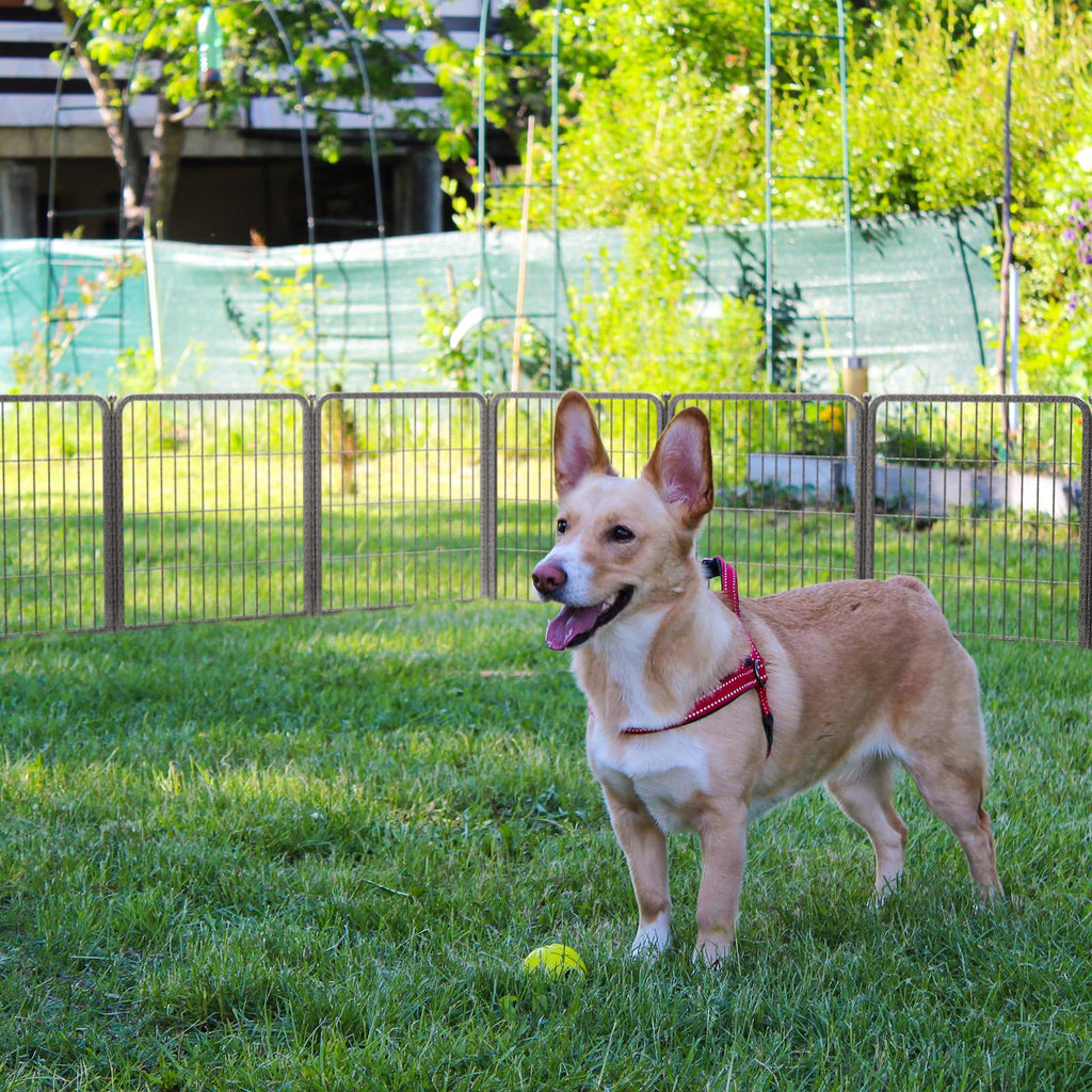 24" H 16 Panels Dog Playpen D89120