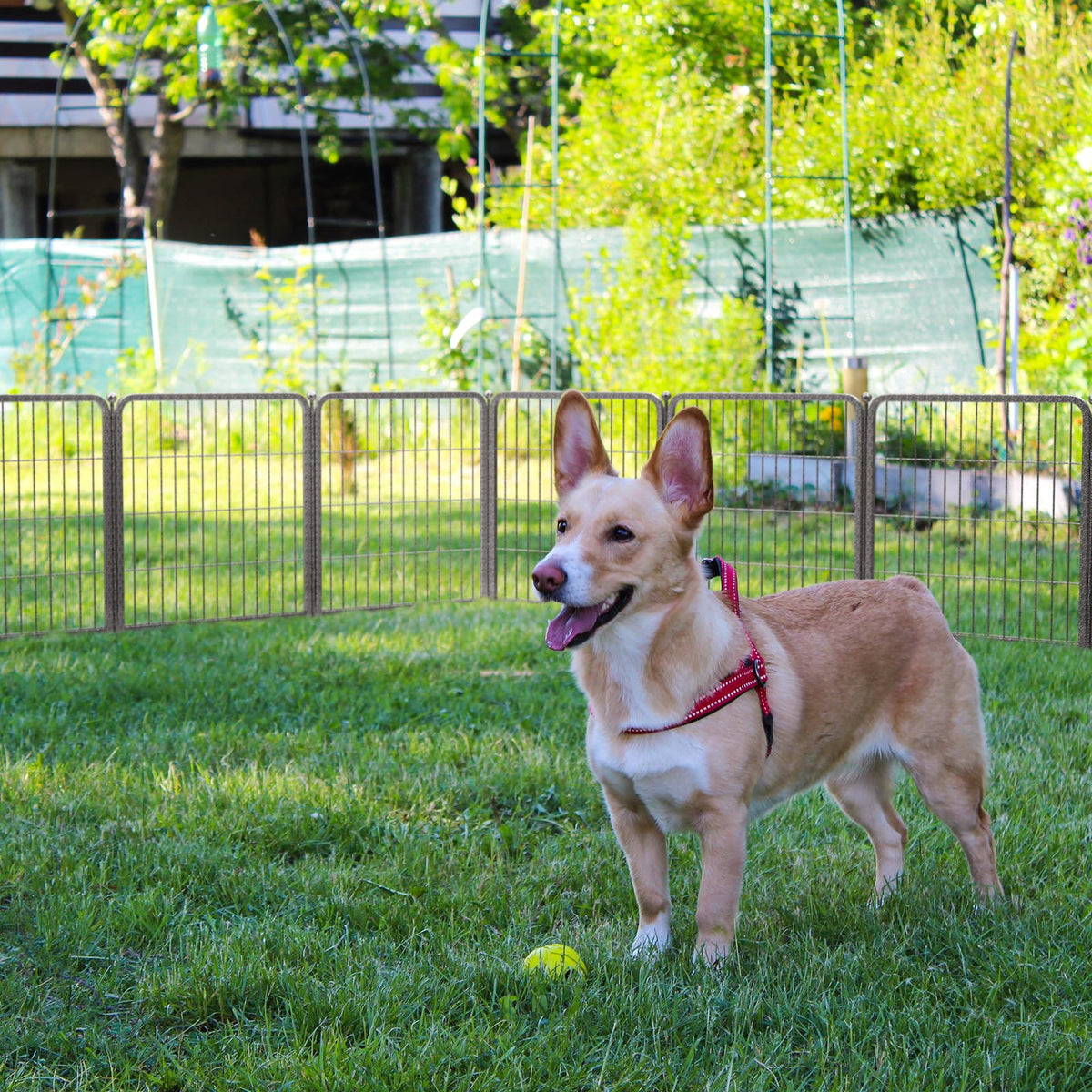 24" H 16 Panels Dog Playpen D89120