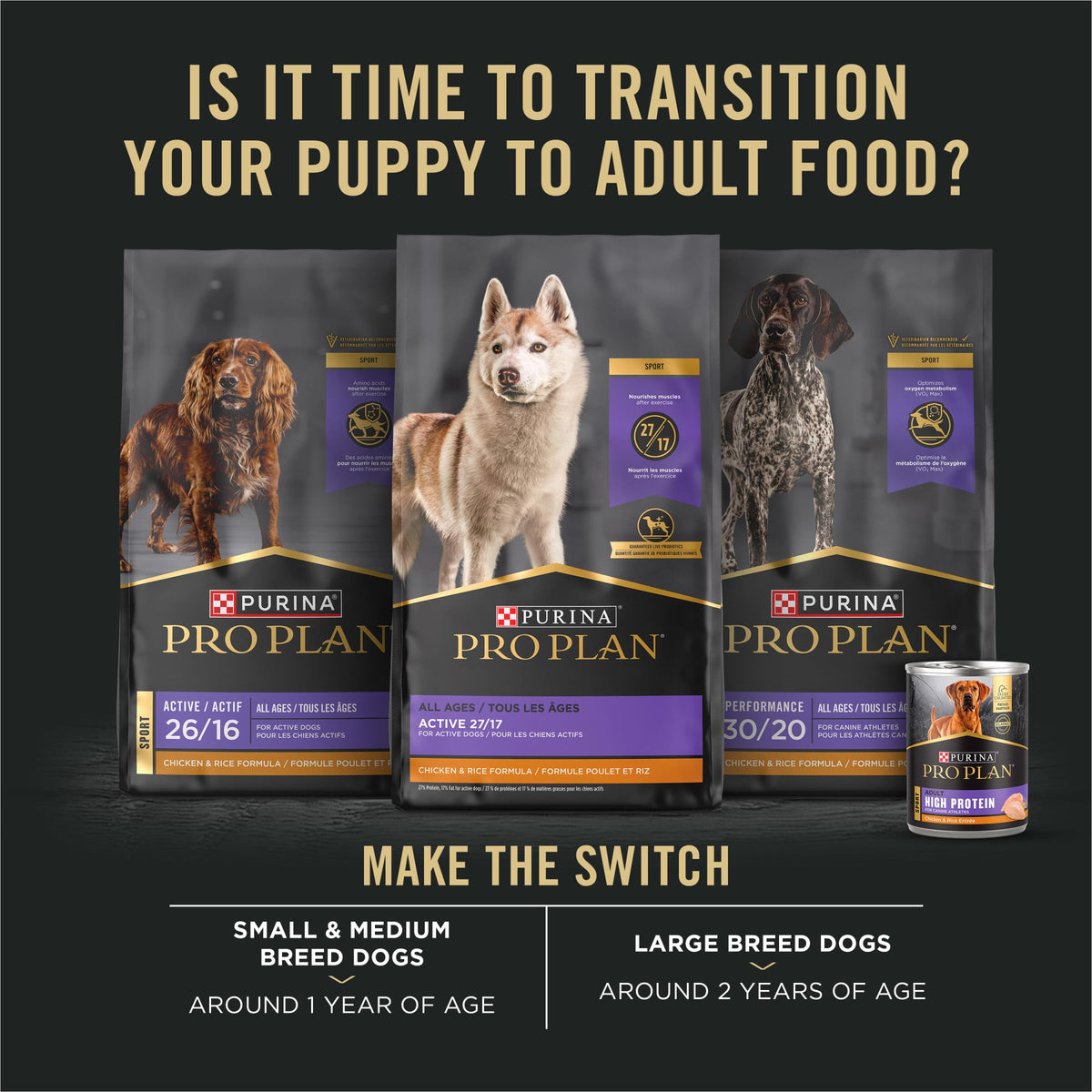 Chicken and Rice High Protein Dog Food 35 lb Q789