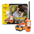 GPS Dog Tracking and Training System B743