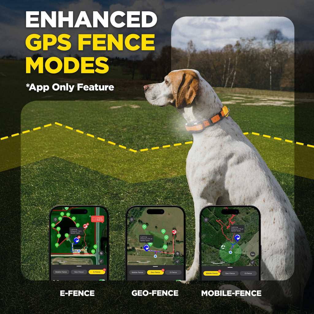 GPS Dog Tracking and Training System B743